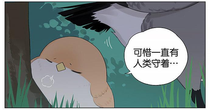 带你去个好地方。-第15话