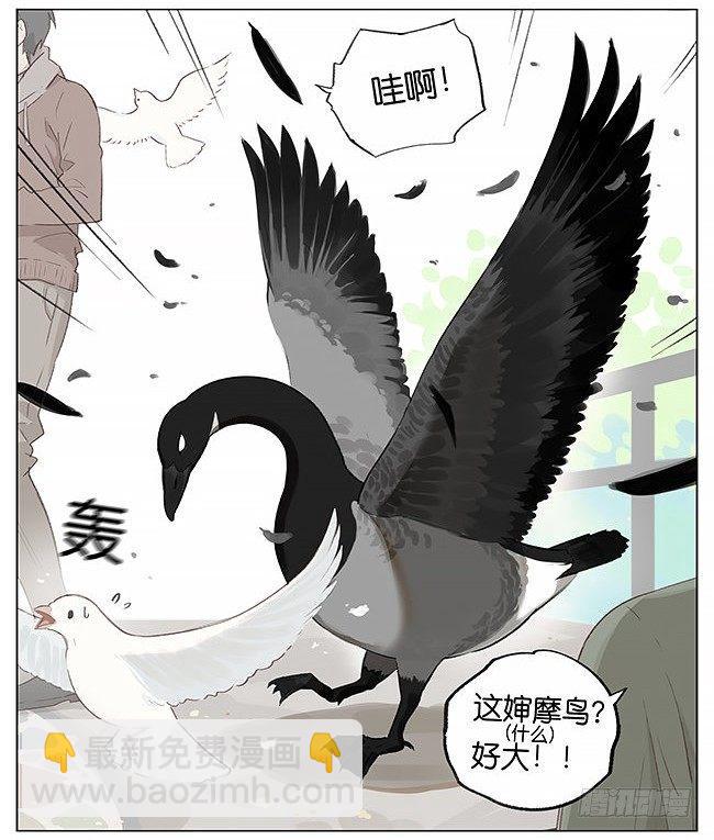 觅食。-第3话