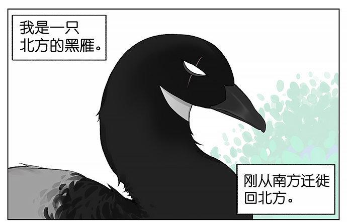 南方的麻雀和北方的麻雀。-第21话
