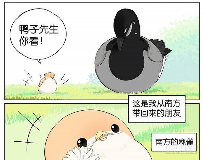 南方的麻雀和北方的麻雀。-第21话