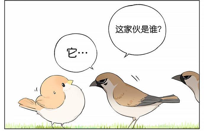 南方的麻雀和北方的麻雀。-第21话