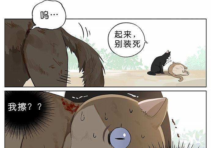 我被一只猫绑架了。-第23话