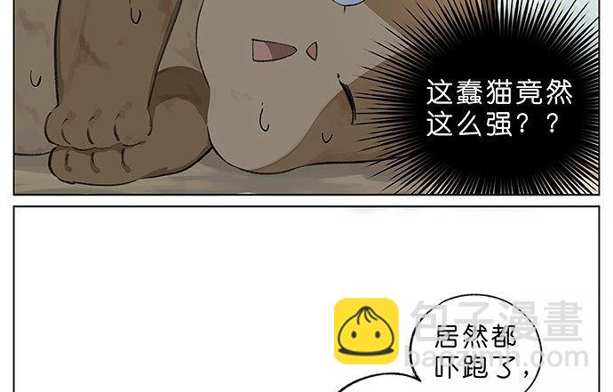 我被一只猫绑架了。-第23话