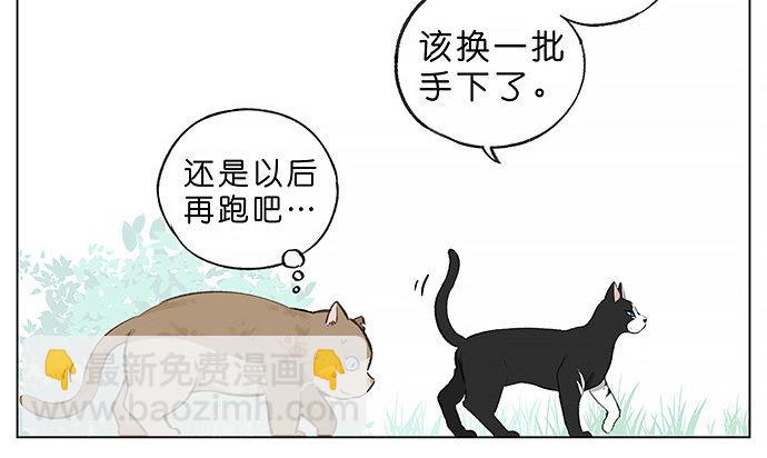 我被一只猫绑架了。-第23话