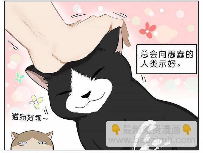 我被一只猫绑架了。-第23话