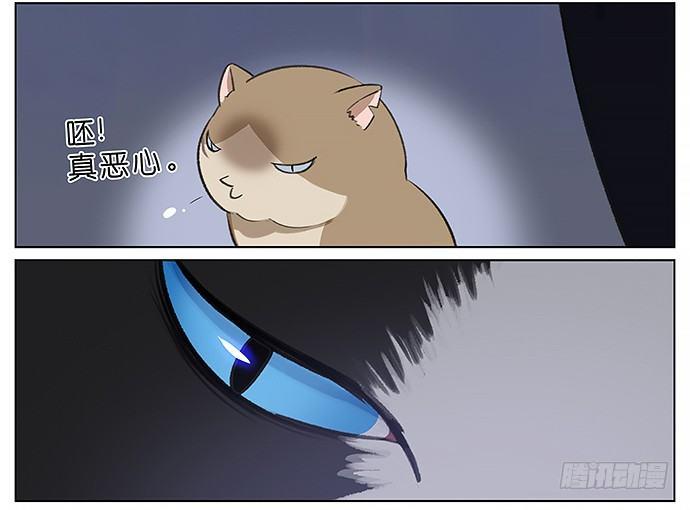 我被一只猫绑架了。-第23话