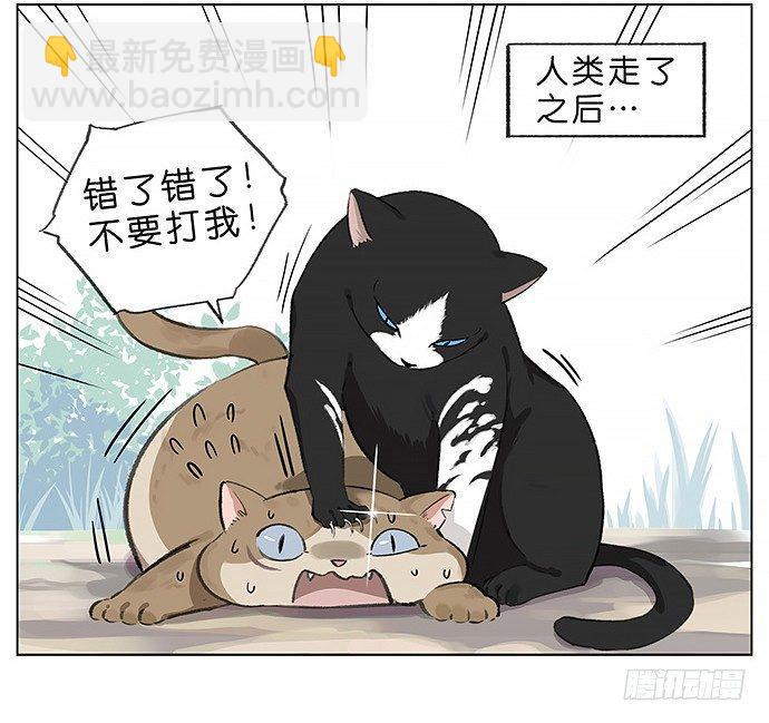我被一只猫绑架了。-第23话