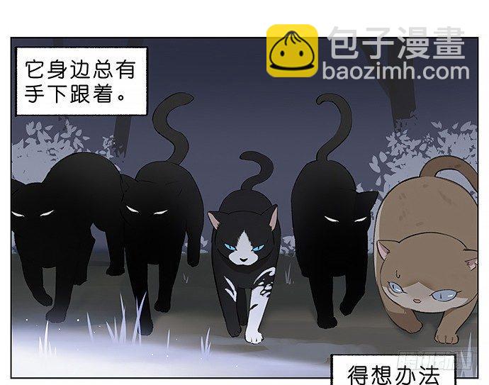 我被一只猫绑架了。-第23话