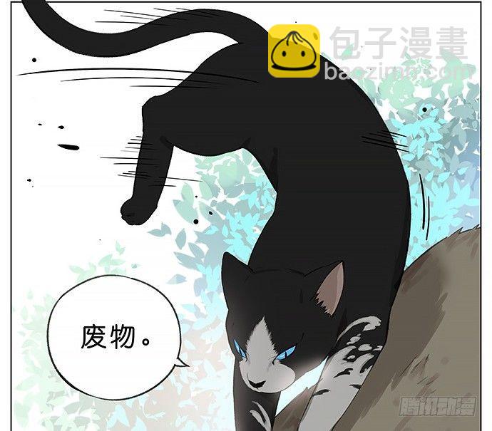 我被一只猫绑架了。-第23话