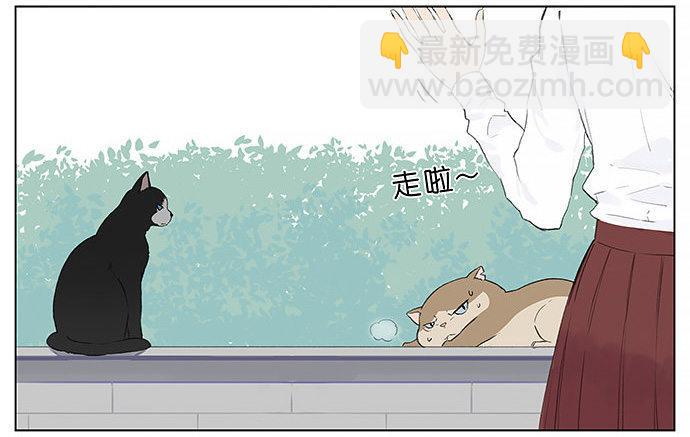 胖胖的猫。-第27话