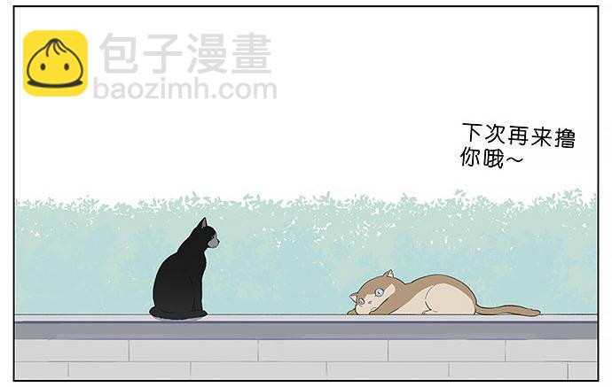 胖胖的猫。-第27话