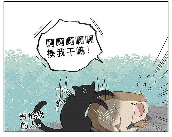 胖胖的猫。-第27话