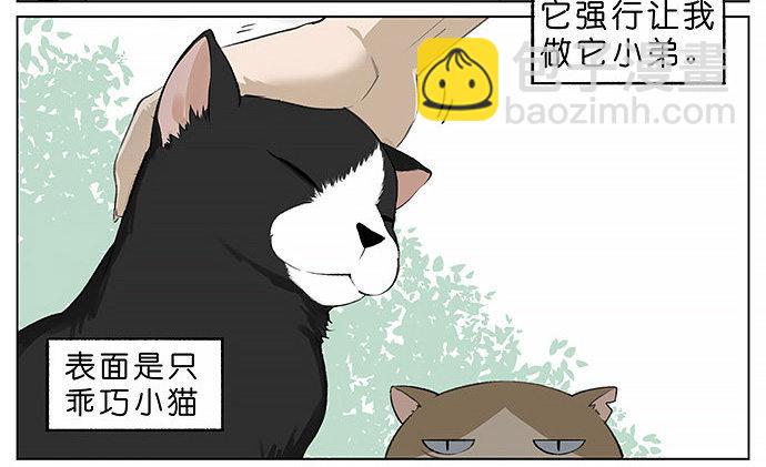 胖胖的猫。-第27话