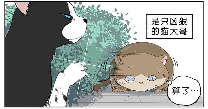胖胖的猫。-第27话