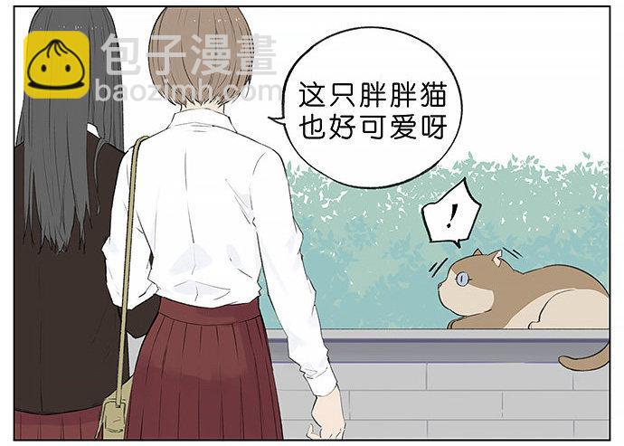 胖胖的猫。-第27话