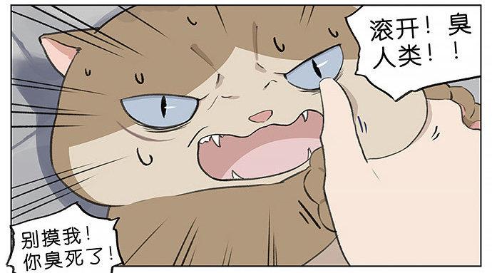 胖胖的猫。-第27话