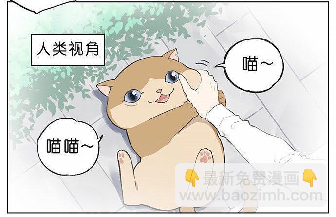 胖胖的猫。-第27话