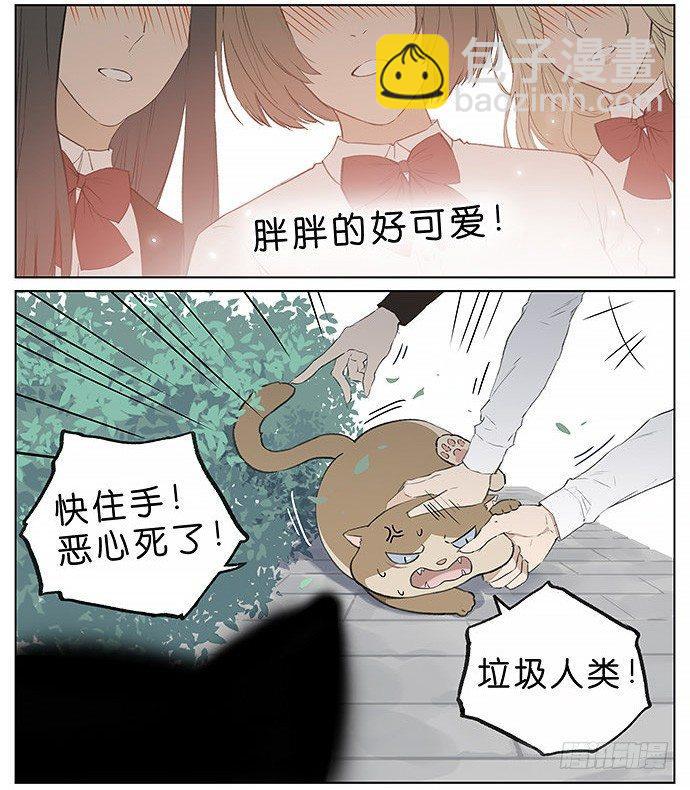 胖胖的猫。-第27话