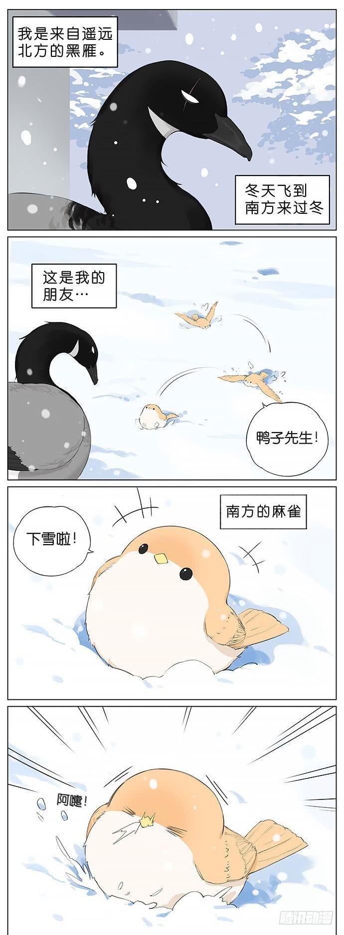下雪天的鸟。-第29话