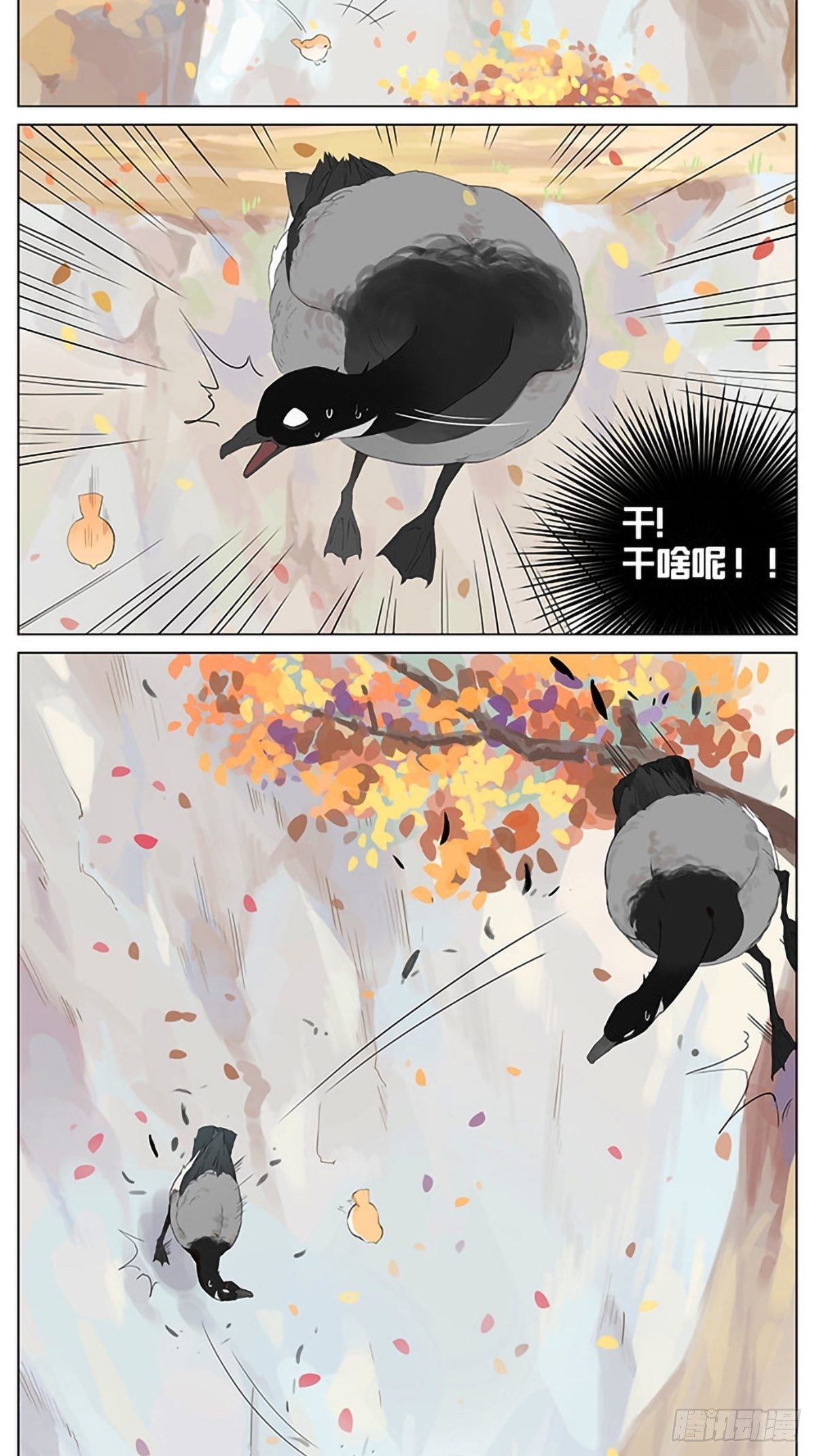 秋天的鸟。-第37话