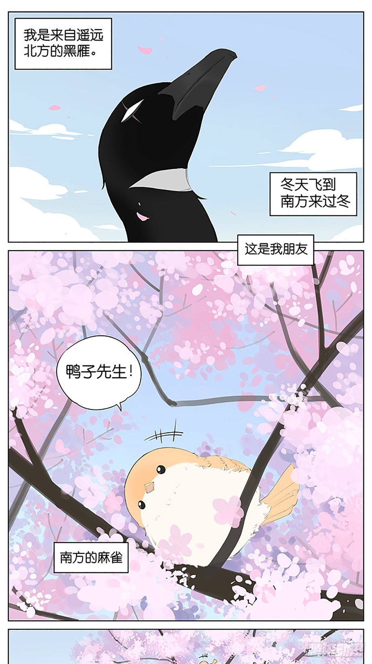 樱花树下的鸟。-第39话