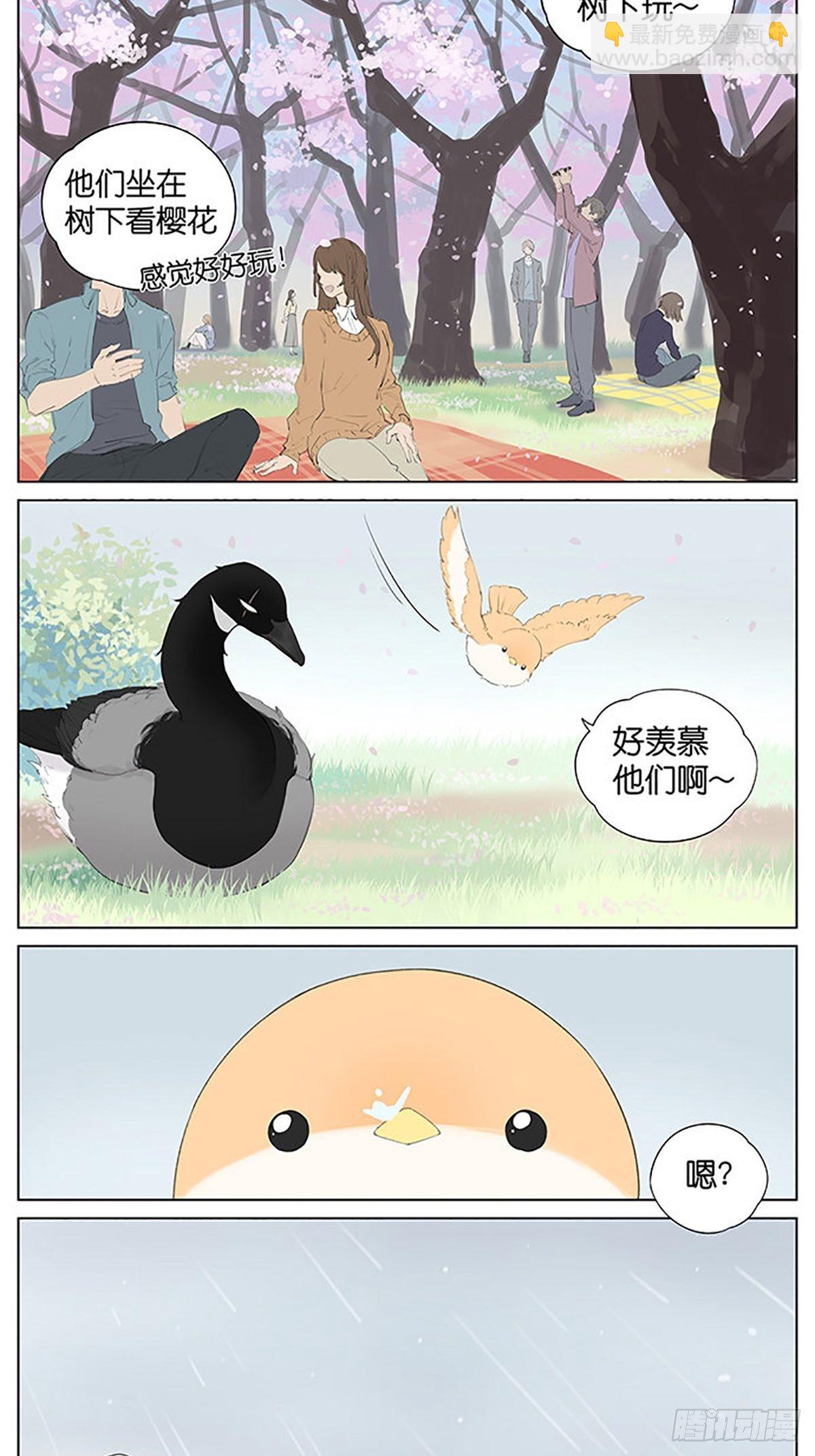 樱花树下的鸟。-第39话