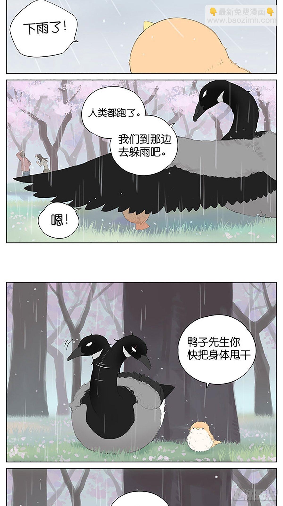 樱花树下的鸟。-第39话