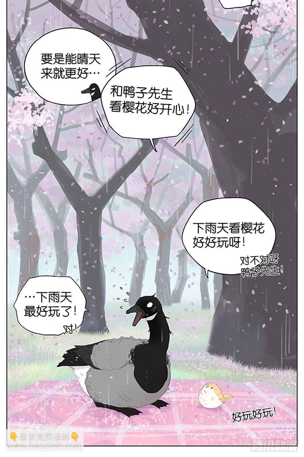 樱花树下的鸟。-第39话