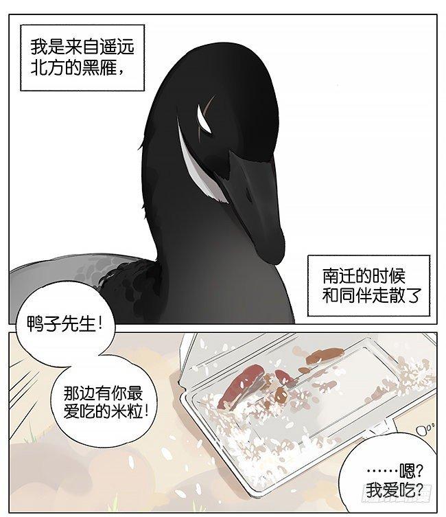 米粒。-第5话