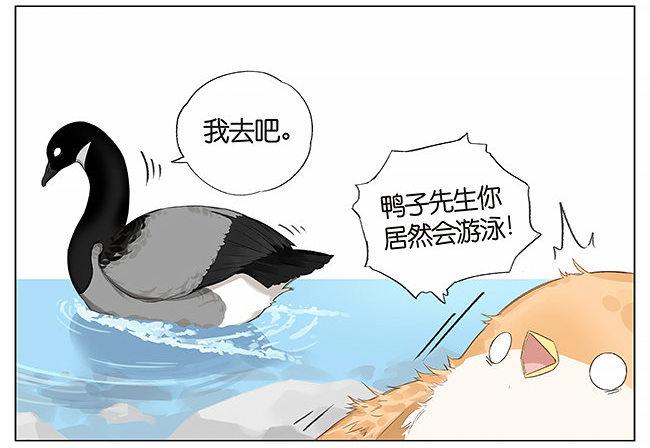 游泳。-第9话