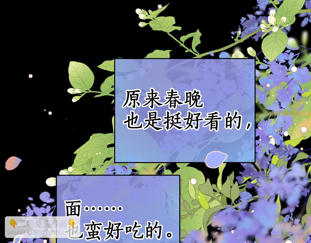 第31集 妹妹(1/2)-第33话