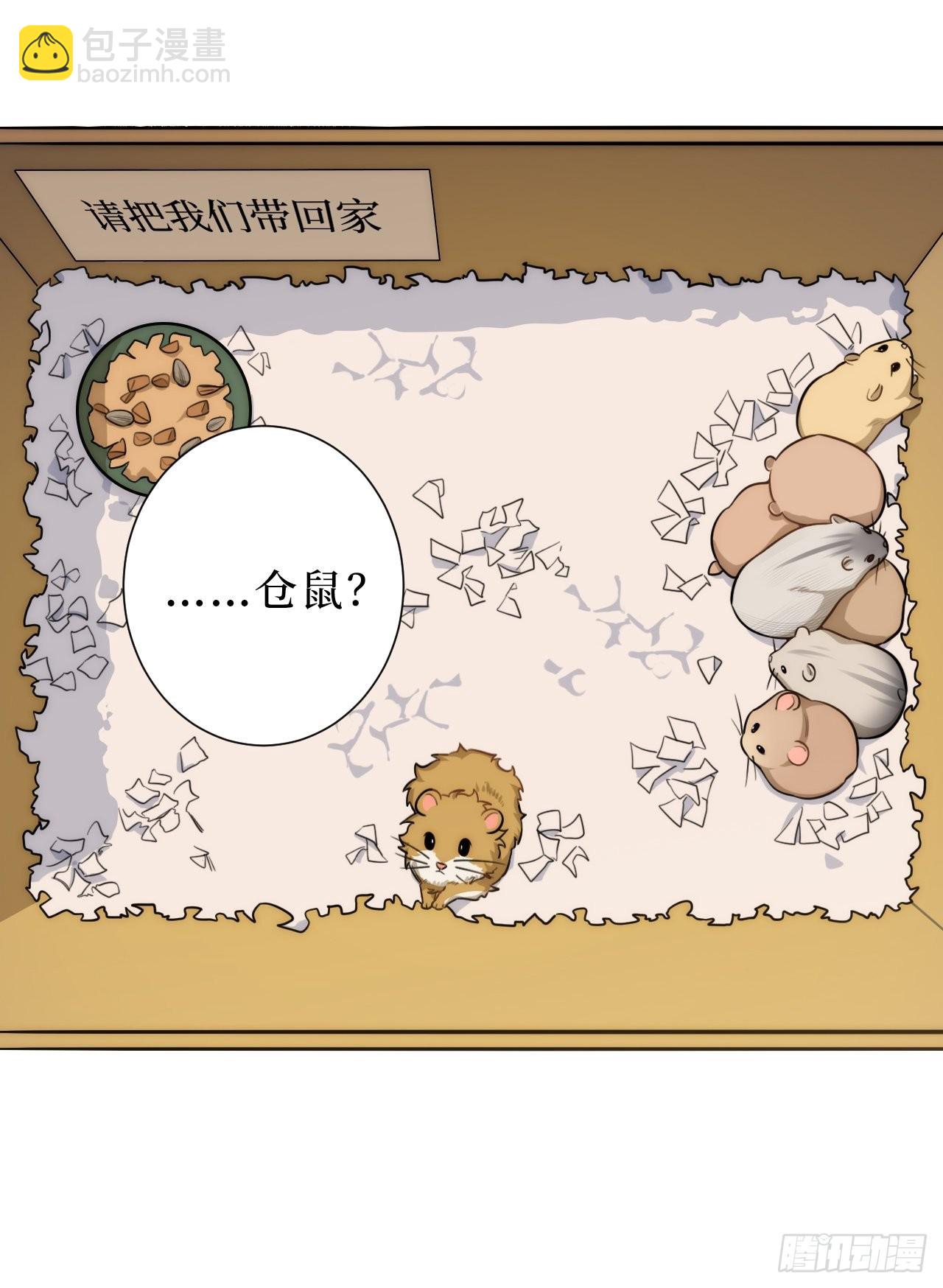 2.我叫肖秘书，是一只仓鼠(1/2)-第3话