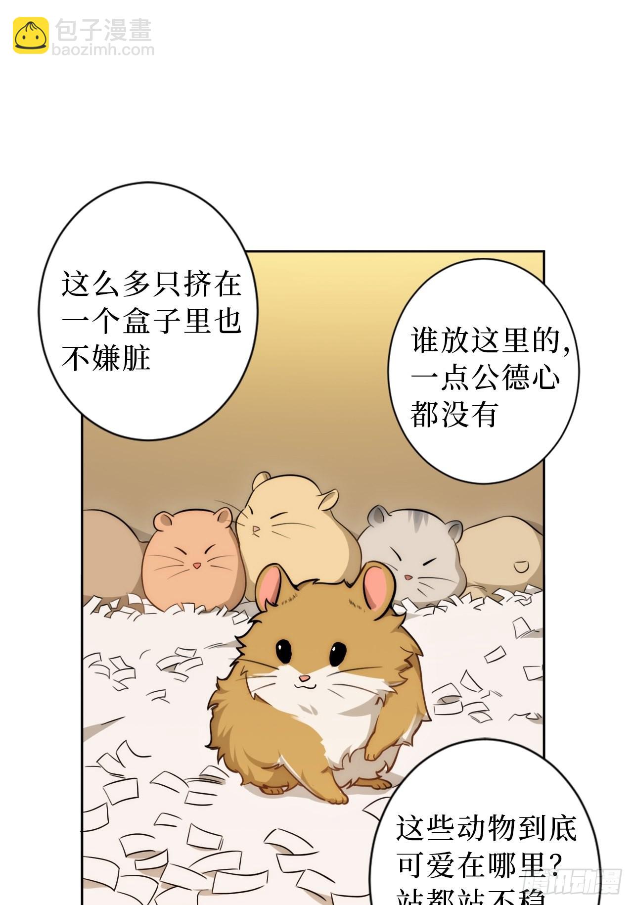 2.我叫肖秘书，是一只仓鼠(1/2)-第3话