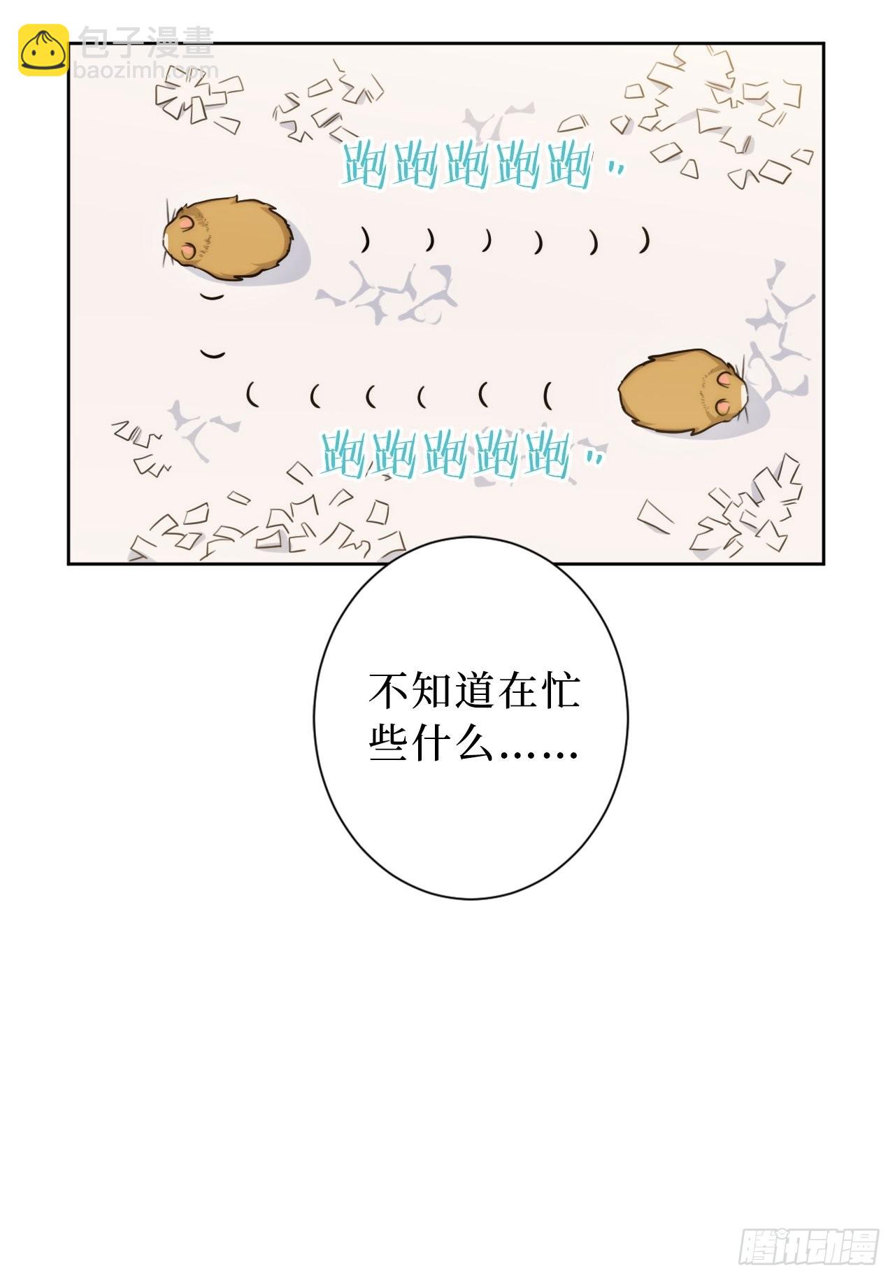 2.我叫肖秘书，是一只仓鼠(1/2)-第3话