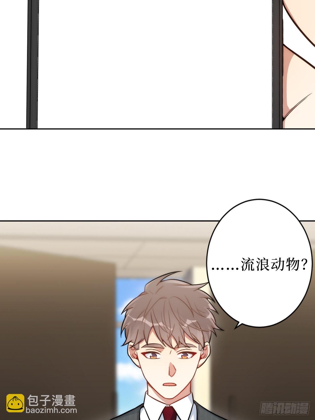 2.我叫肖秘书，是一只仓鼠(1/2)-第3话