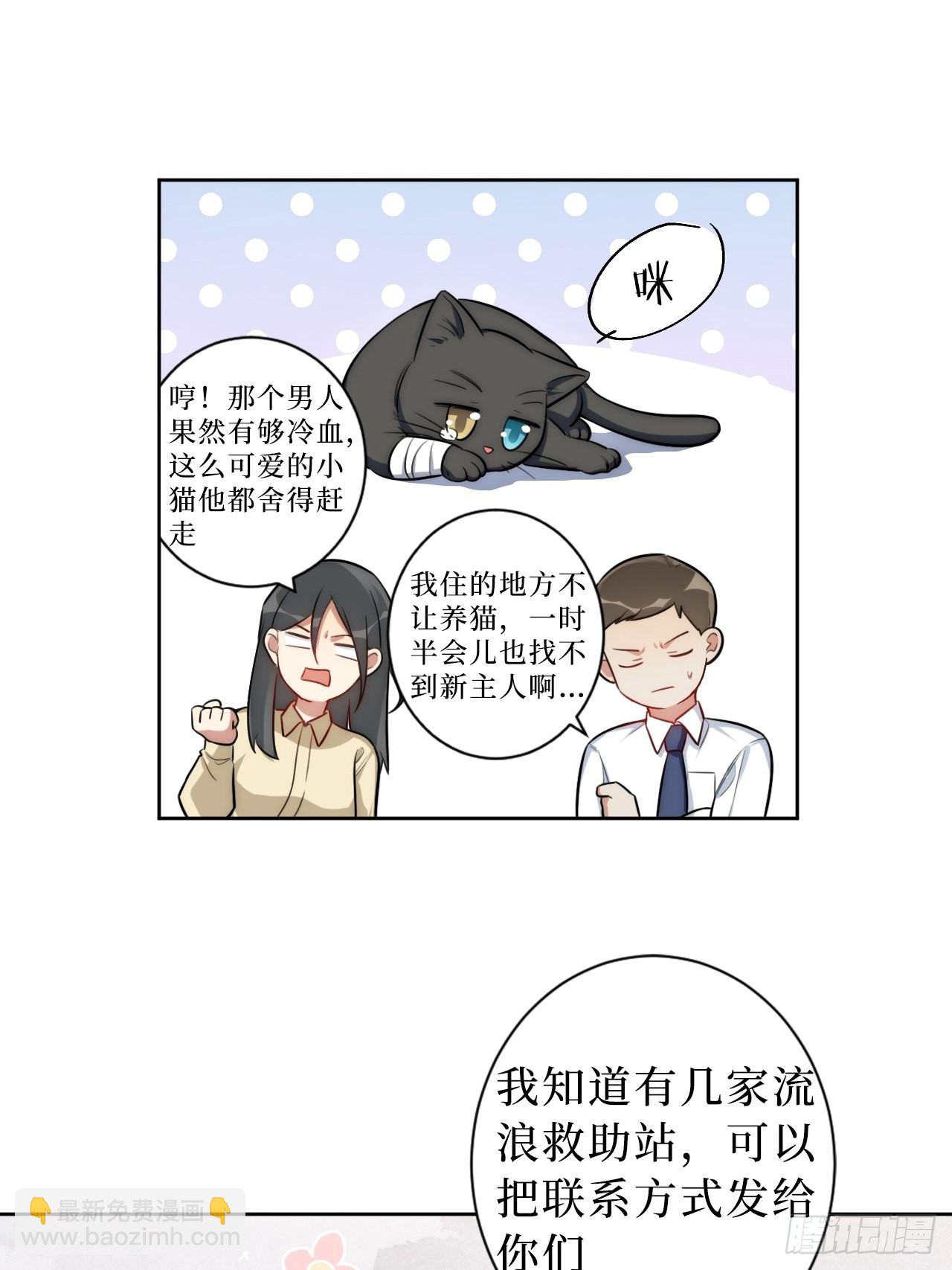 2.我叫肖秘书，是一只仓鼠(1/2)-第3话