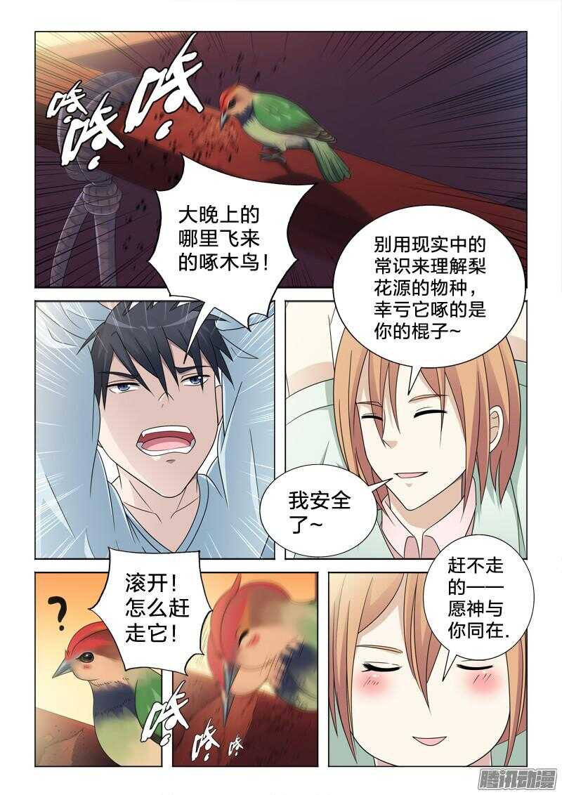 55：鸟罚-第55话