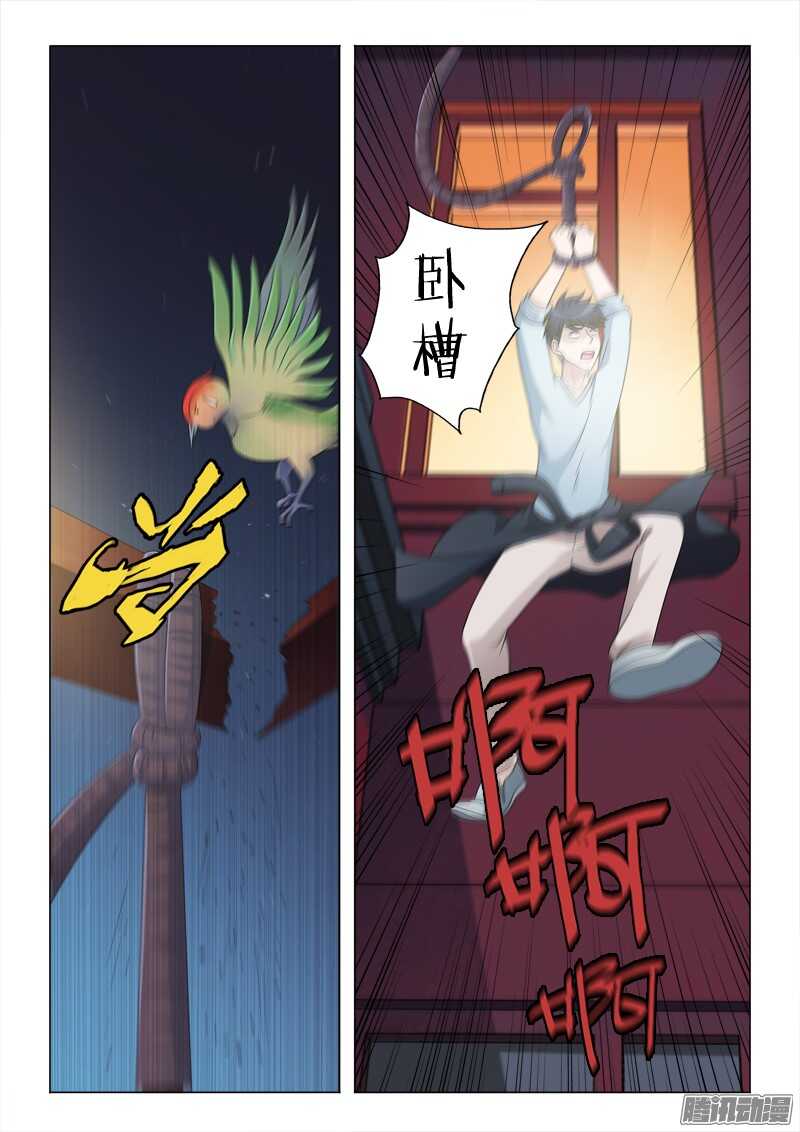 55：鸟罚-第55话