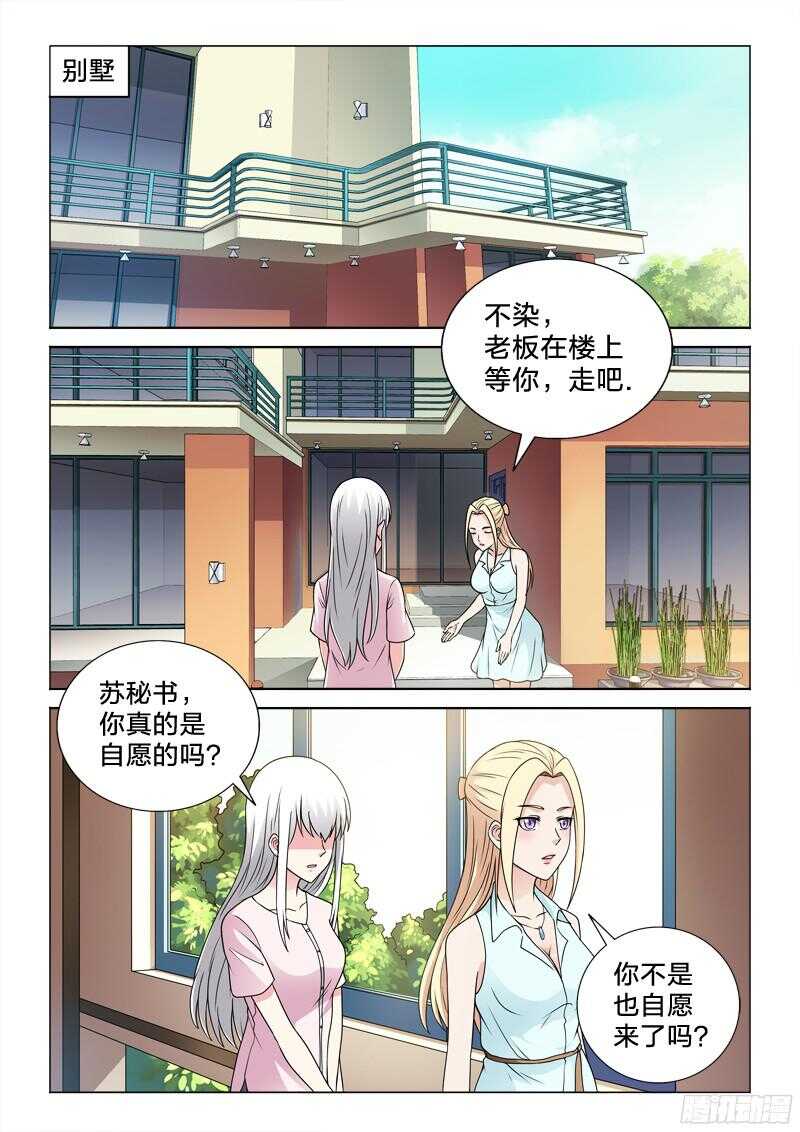 69：洗白白-第69话