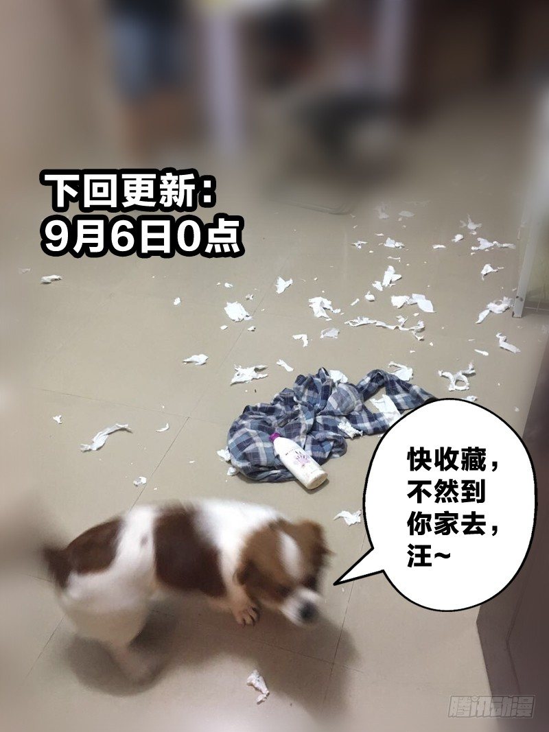 9：这个我要了-第9话