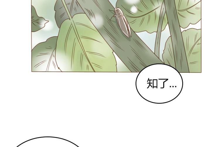 第32话 别担心，有我在！(1/2)-第37话