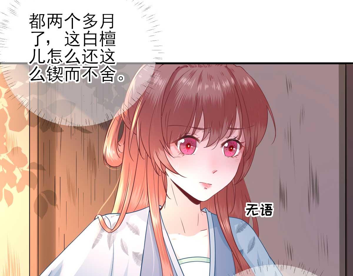 第50话  白檀儿碰壁(1/2)-第51话