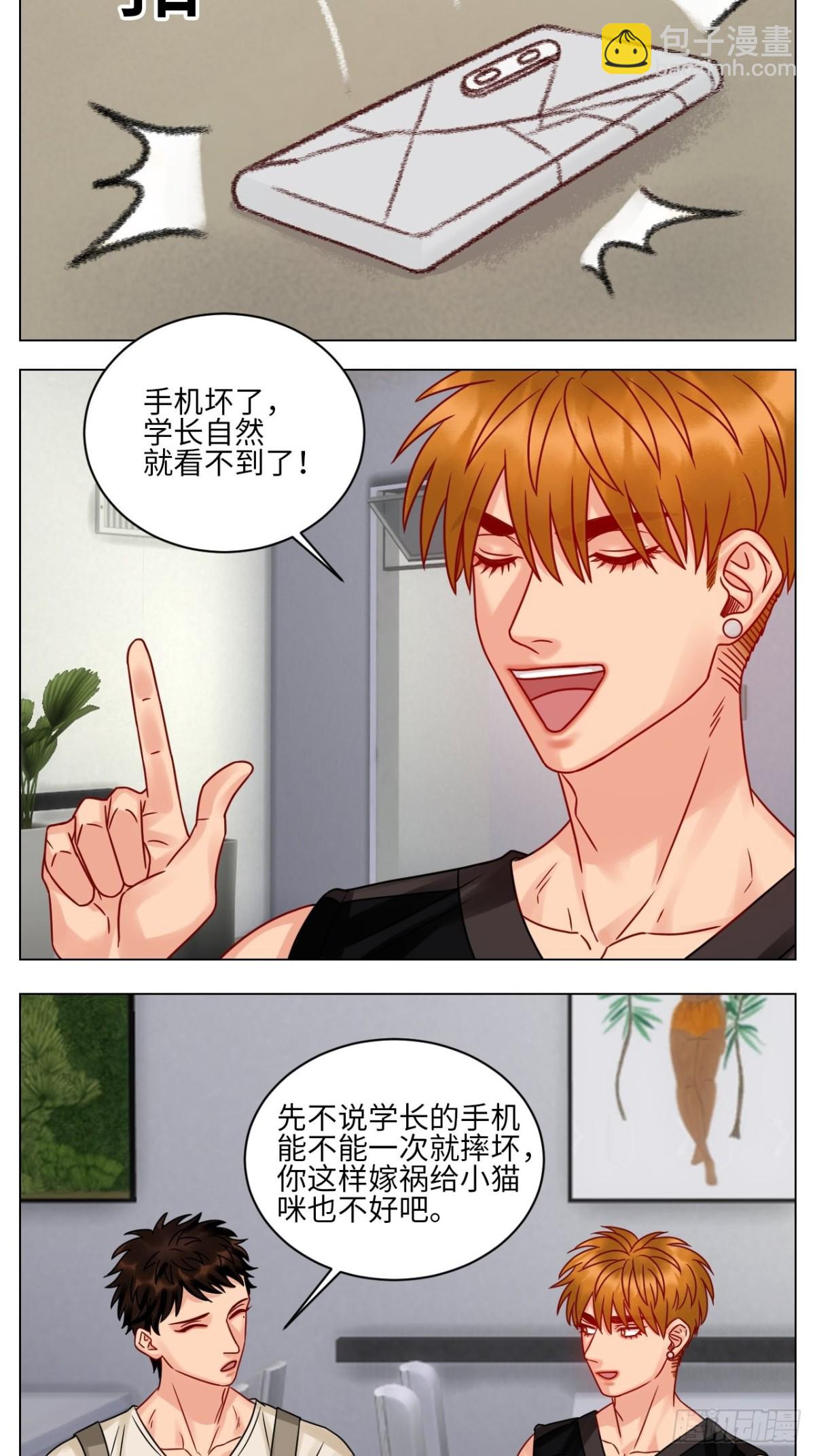 真巴叶粉，出击！-第193话
