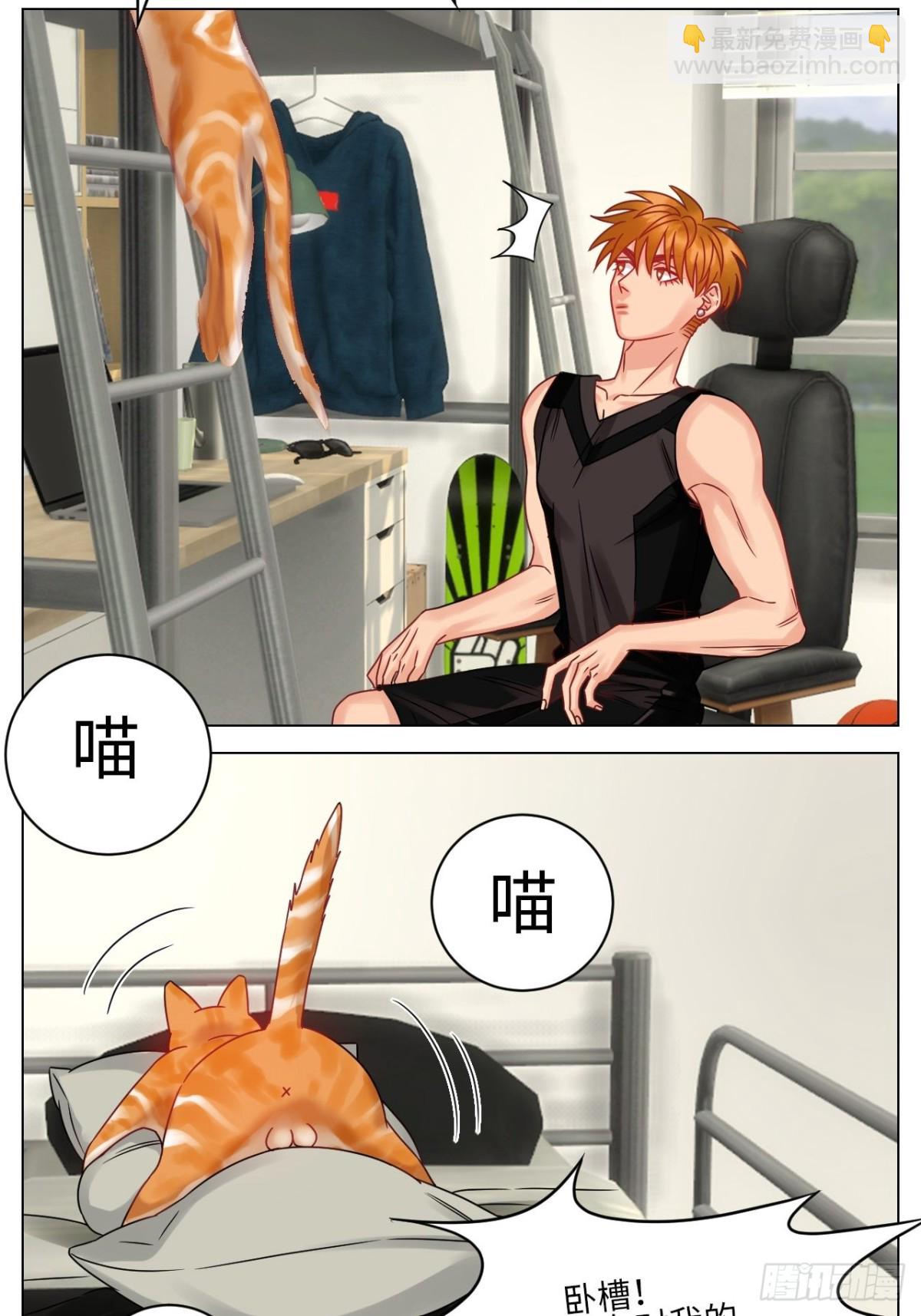关于狮子买的香水，又惹事了-第201话