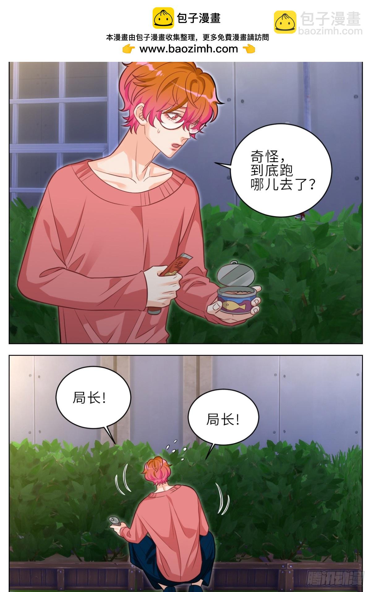 局长失踪竟是助攻？！-第239话
