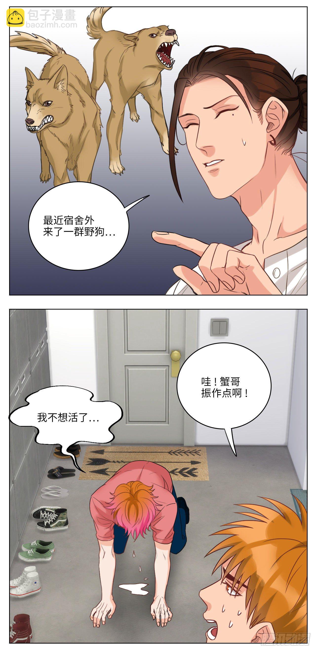 猫奴-第53话