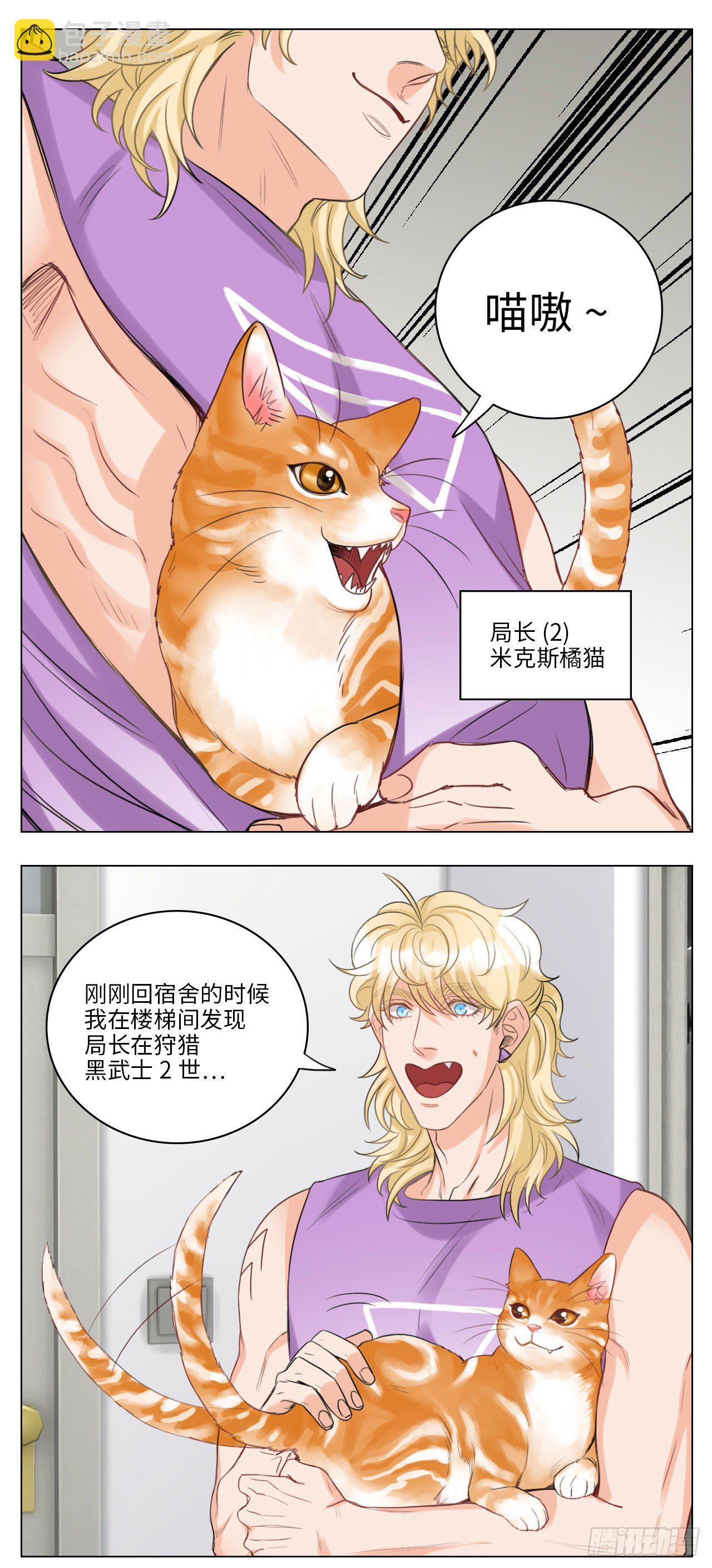 猫奴-第53话