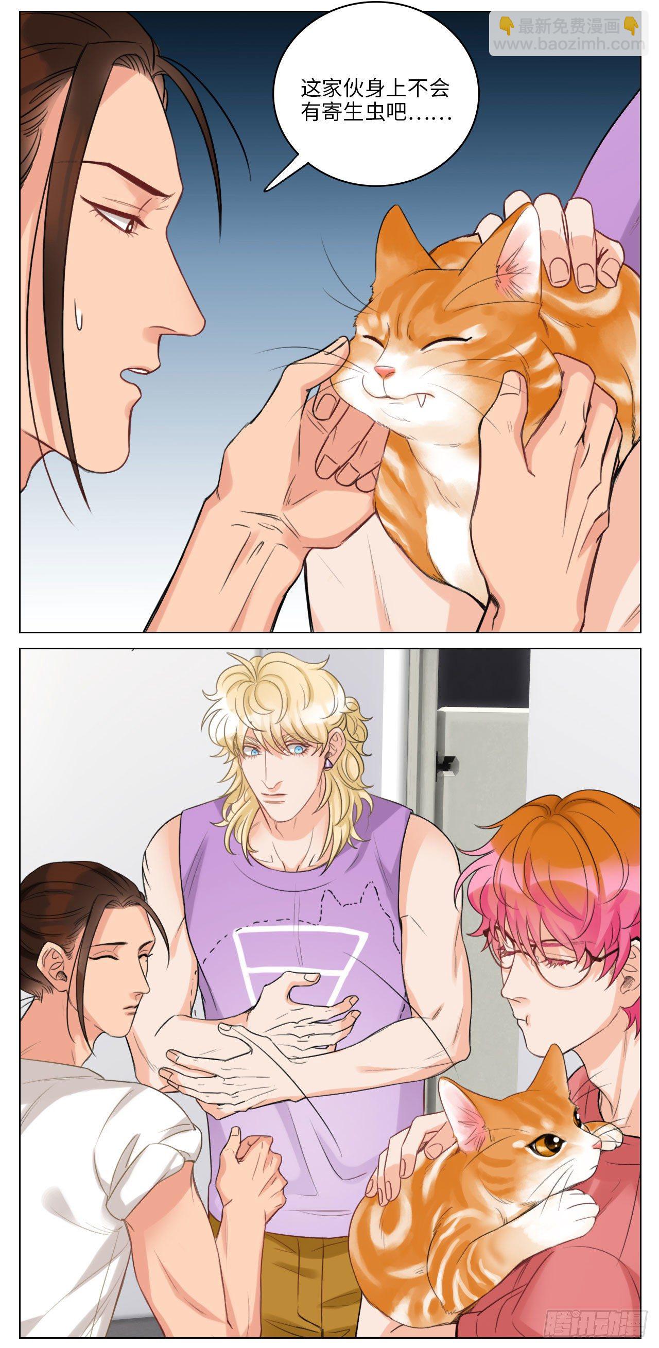猫奴-第53话