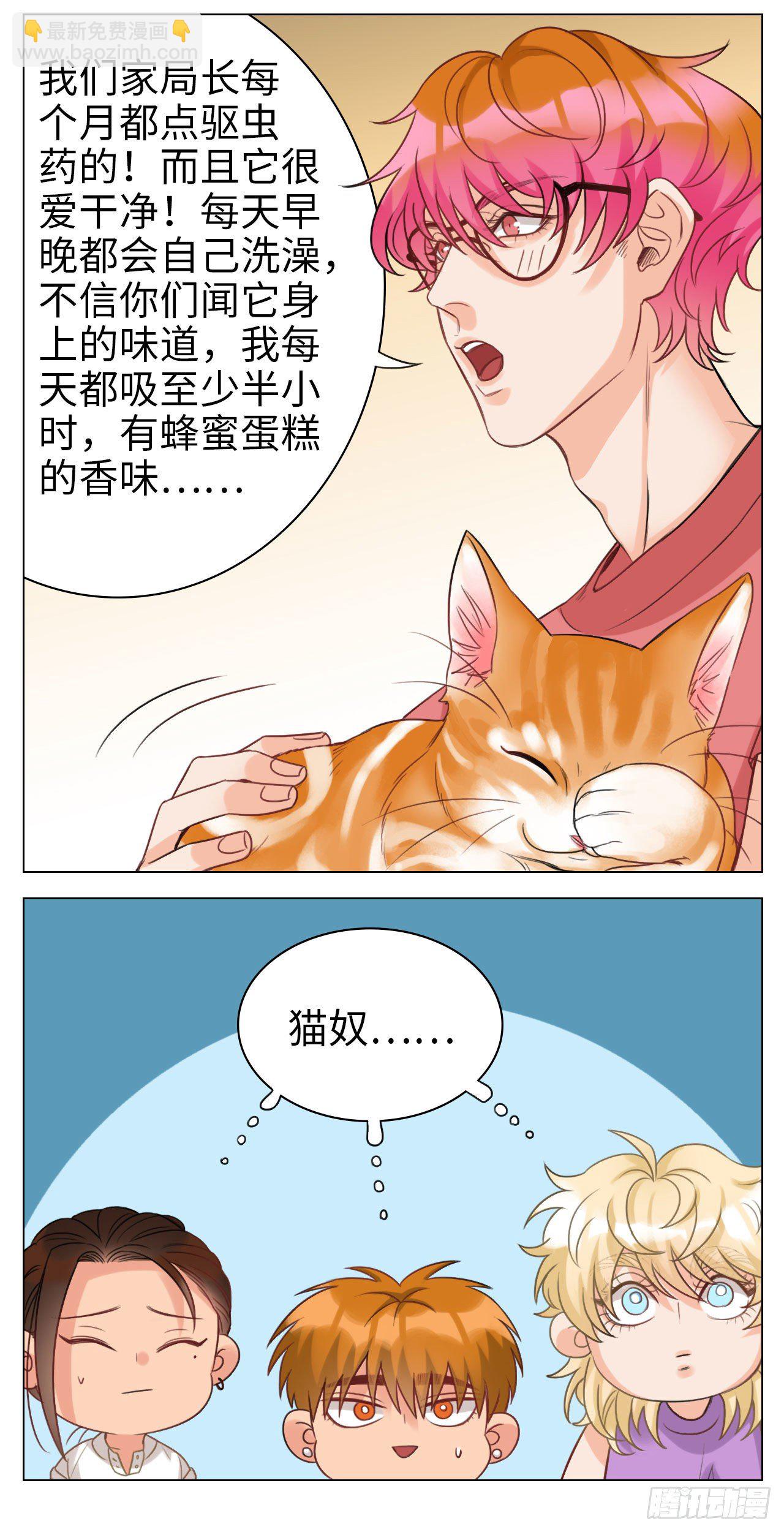 猫奴-第53话