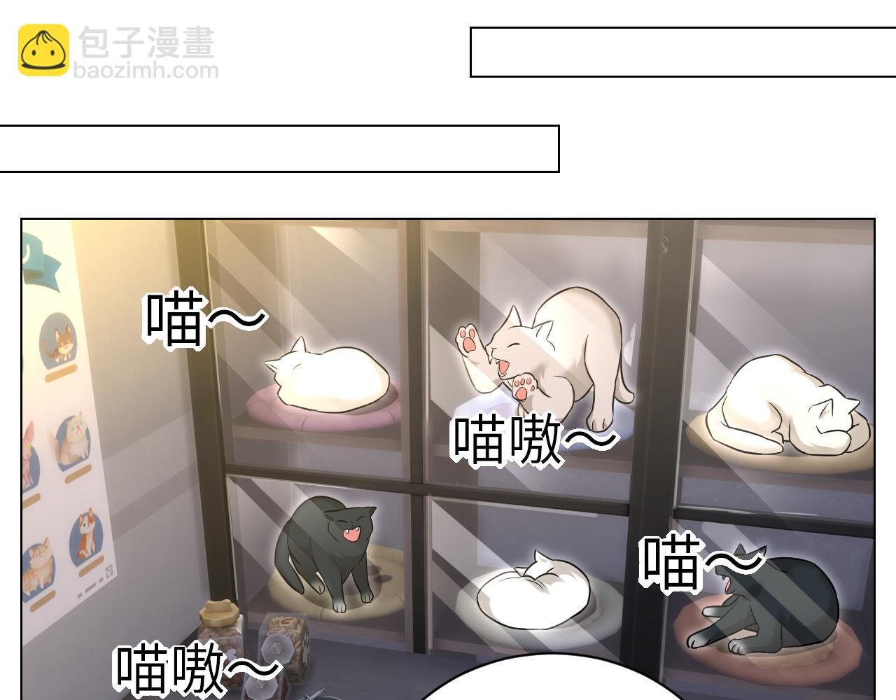 找到的可不止小猫咪-第153话